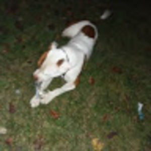 Meet your Posher, Rob